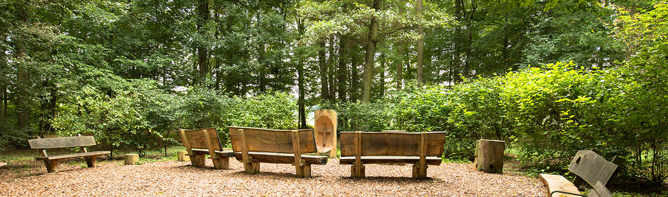 Baumbestattung in Gütersloh